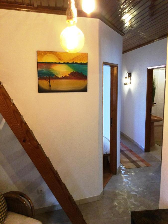 Art'Rio - Casa No Rio Em Dornes Villa Eksteriør billede